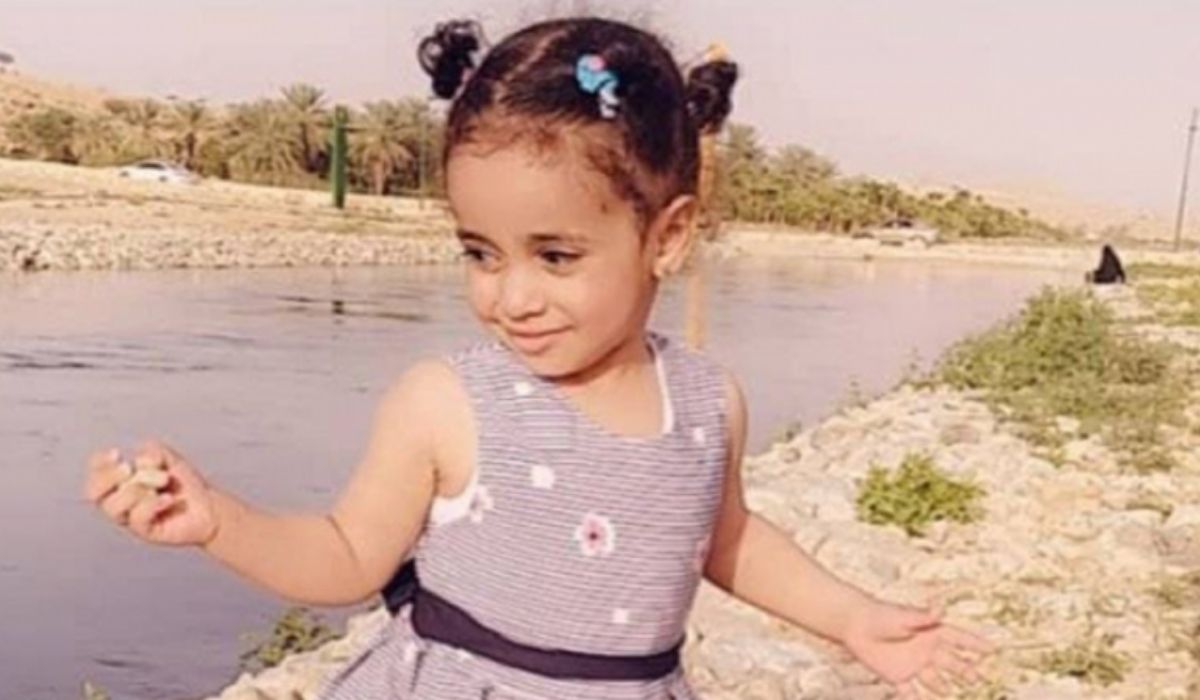 Child dies after stray dogs maul her in front of mother